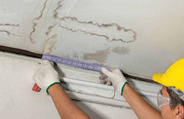 Reliable Mold Remediation contractor in Holden, MA by Water Damage Irwin